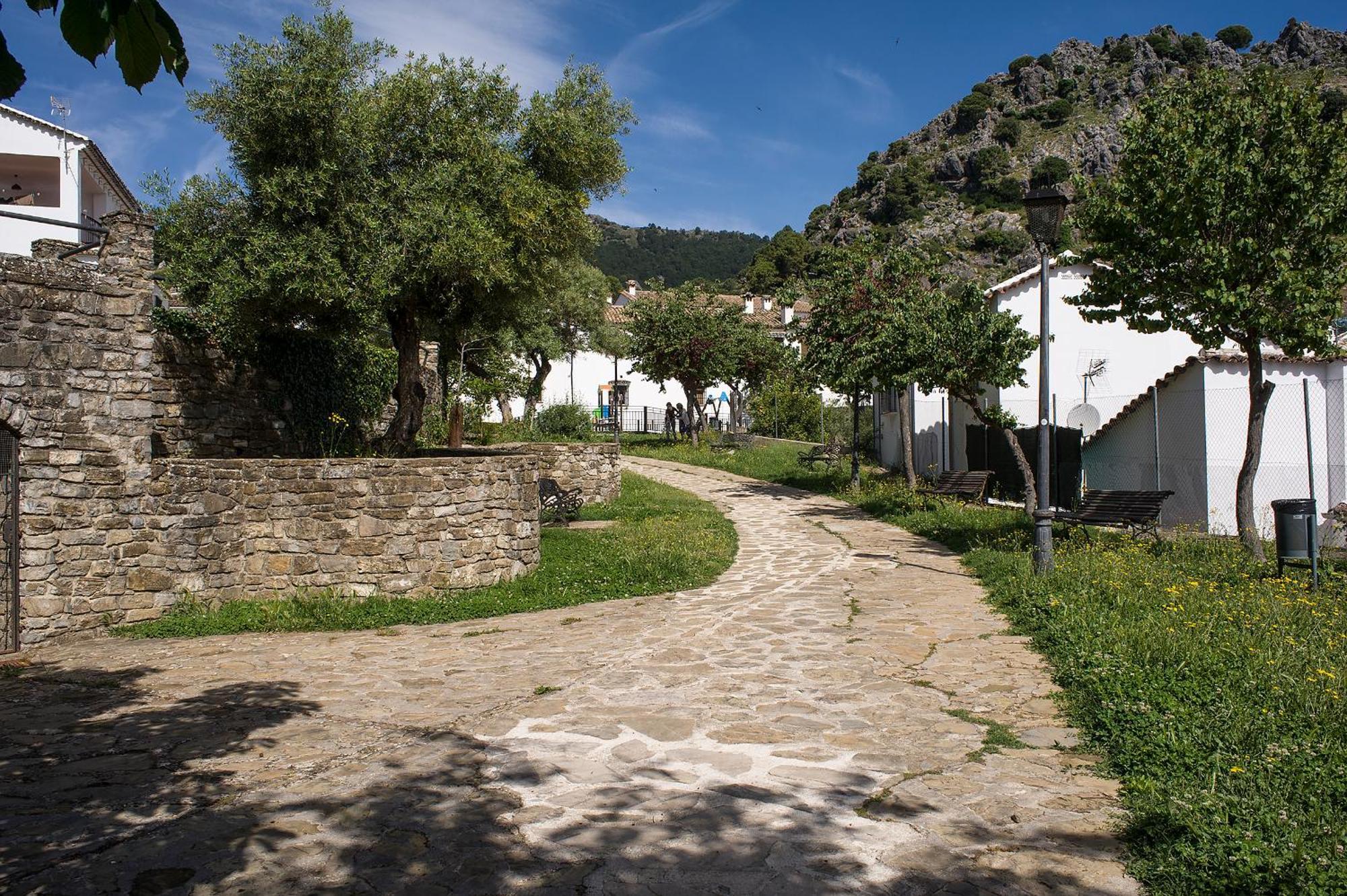 Casa Rural La Callejita Grazalema Exterior photo